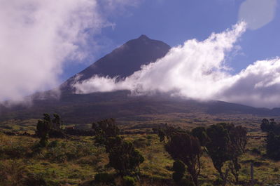 Scenic view of landscape against sky