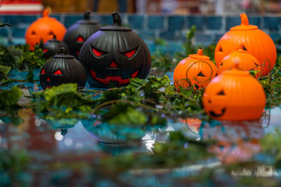 View of multi colored pumpkins during halloween