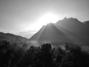 Sunlight streaming through silhouette trees against sky