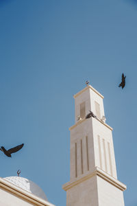 Low angle view of seagull flying against clear blue sky