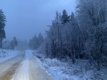 Snow covered road amidst trees against sky