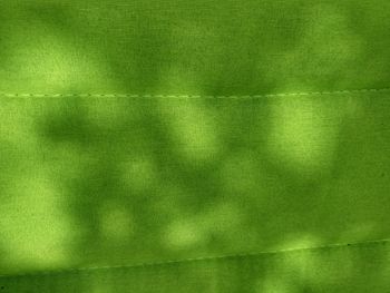 Full frame shot of green pattern