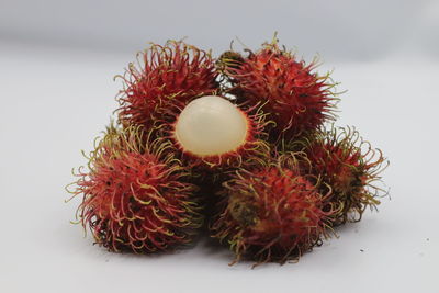 Close-up of fruit against white background