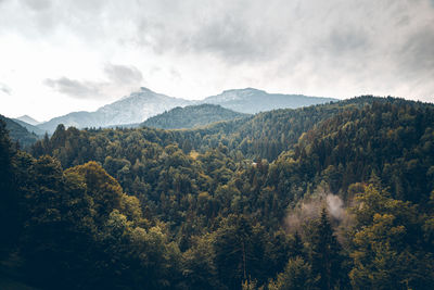 Scenic view of trees and mountains against sky