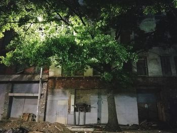 View of house and trees