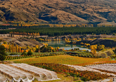 Scenic view of autumn field by lake against mountain