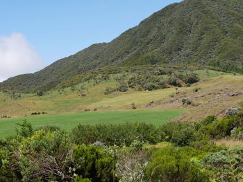 Scenic view of landscape against sky