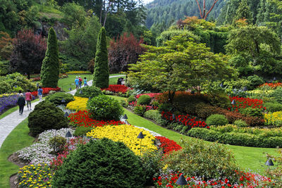 View of flowering plants in garden