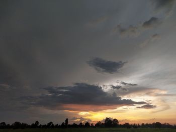 Low angle view of silhouette trees against sky during sunset