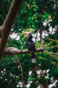 Bird perching on a tree