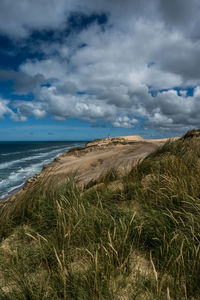 Danish westcoast, with rubjerg knude lighthouse in horizon