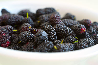 Close-up of food