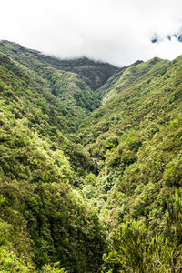 Scenic view of landscape