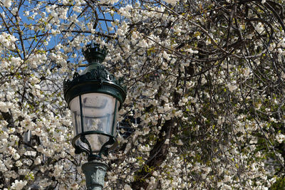 Low angle view of street light against blue sky