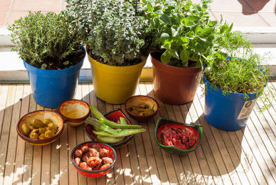 High angle view of potted plants on table