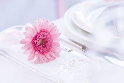 Close-up of pink flower on table