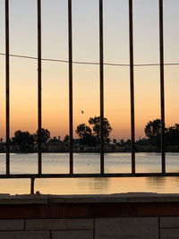 Silhouette trees by sea against orange sky