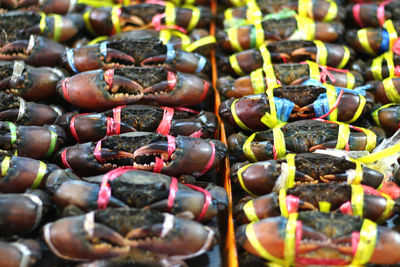 Full frame shot of tied crabs for sale