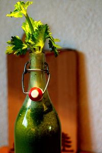 Close-up of celery in a bottle with celery juice