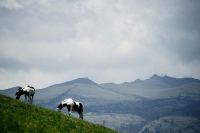 Scenic view of landscape against cloudy sky