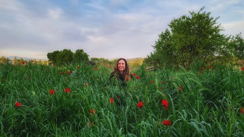 Red poppy flowers on field against sky