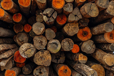 Full frame shot of logs