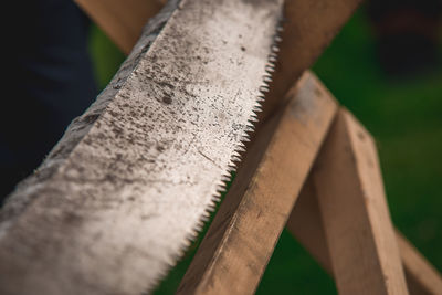 Close-up of wood