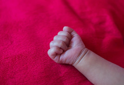 Close-up of baby hand