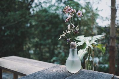 Close-up of white flowers on table