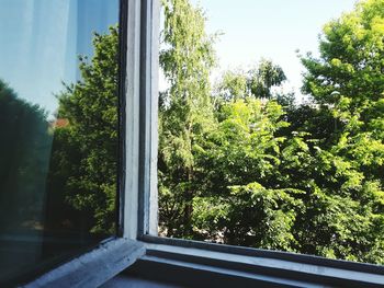 Close-up of trees against sky seen through window