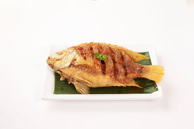 Close-up of fish on barbecue grill against white background