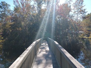 Footbridge amidst trees in forest