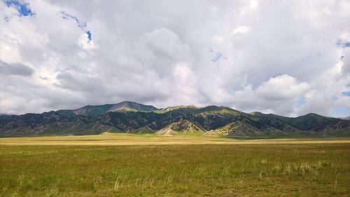 Scenic view of field against sky