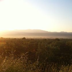 Scenic view of mountains