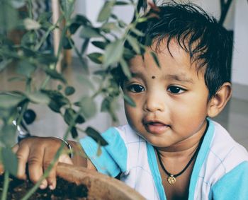 Close-up of baby boy looking at potted plant