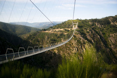 Puente   colgante  portugal