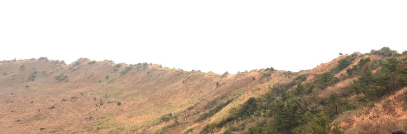 Scenic view of landscape against clear sky