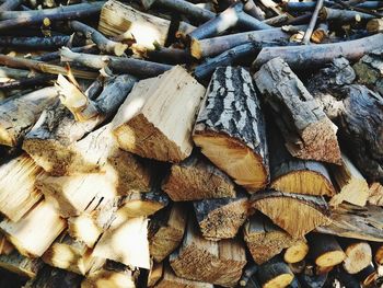 Full frame shot of logs in forest