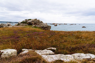 Scenic view of sea against sky
