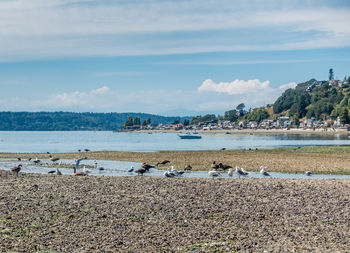 Scenic view of beach against sky