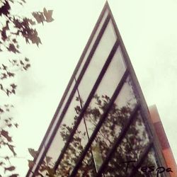 low angle view