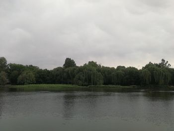 Scenic view of lake by trees against sky