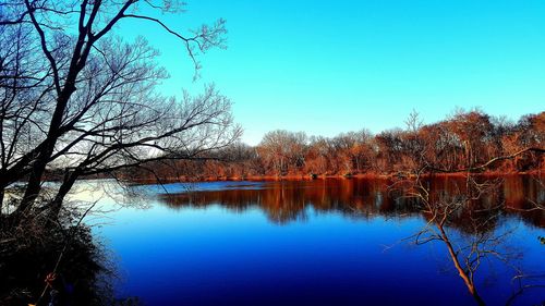 Reflection of trees in calm lake