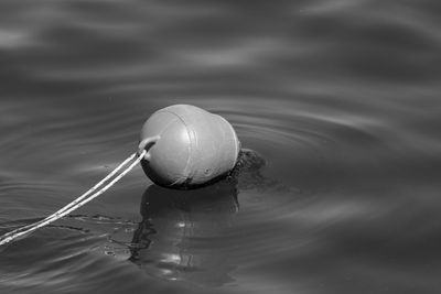 High angle view of buoy floating on water