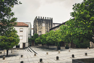 Trees by buildings against sky in city