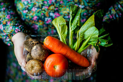 Close-up of hand holding vegetables