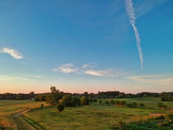 Scenic view of field against sky during sunset