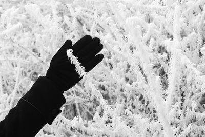 Low section of person on snow covered field