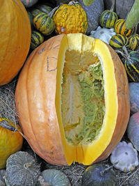High angle view of pumpkins