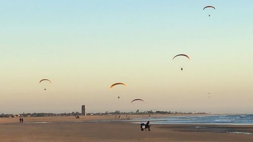 People paragliding over beach against clear sky at sunset